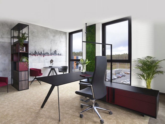 Birou managerial DIGNIS