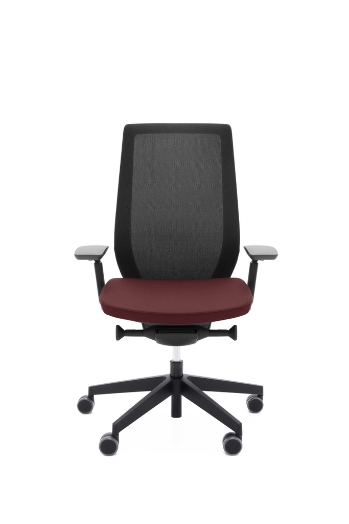 Scaun de birou Accis Pro 150SFL - Black - 2.webp