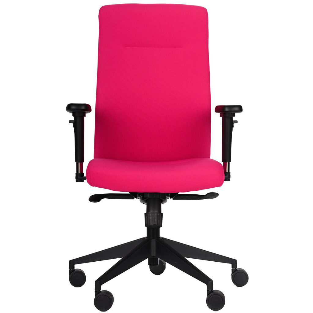 Scaun birou Fay PL Erika 3.webp