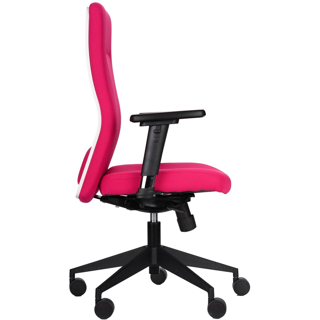 Scaun birou Fay PL Erika 2.webp