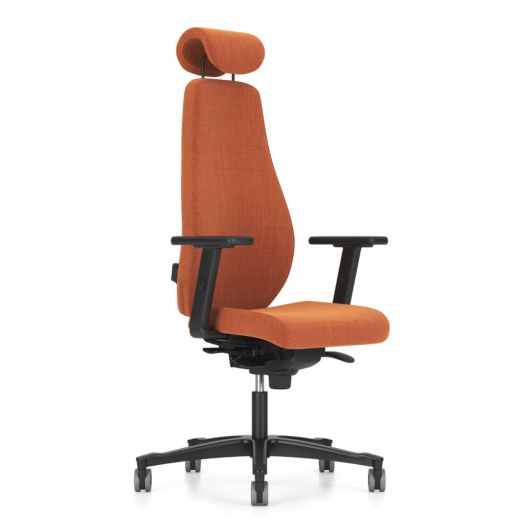 Scaun Directorial Bjarg HB UPH - 59.webp