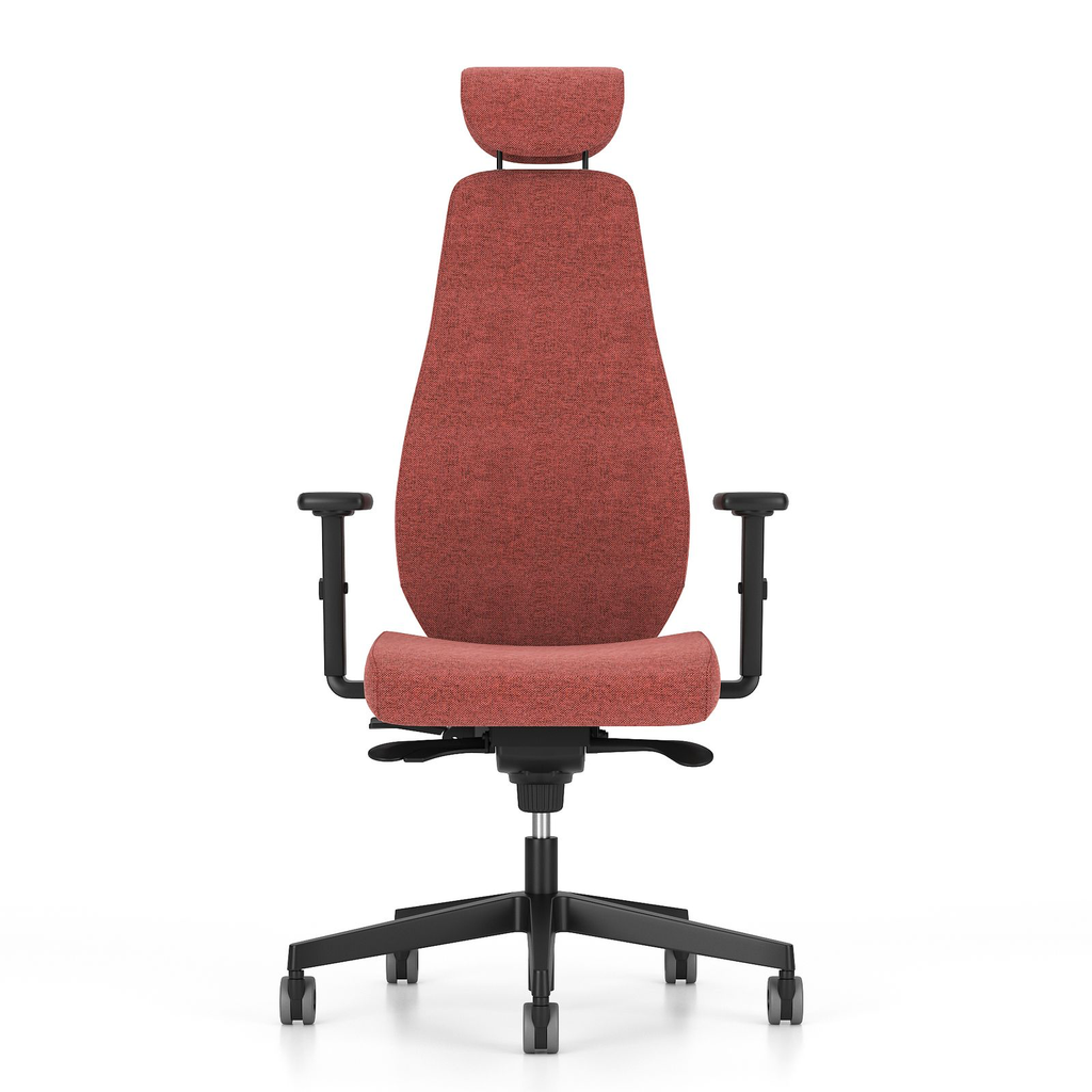 Scaun Directorial Bjarg HB UPH - 52.webp