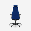 Scaun Directorial Viden HB UPH - 22.webp