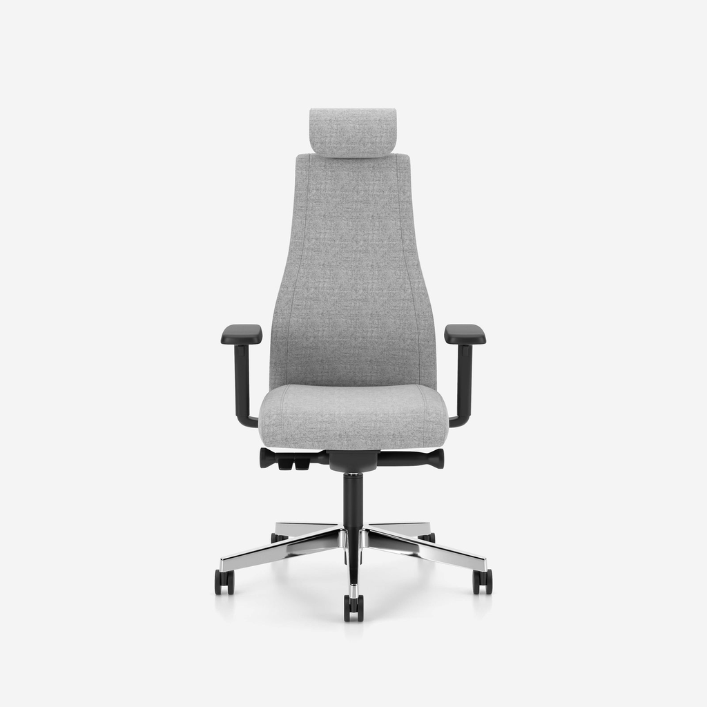 Scaun Directorial Viden HB UPH - 12.webp