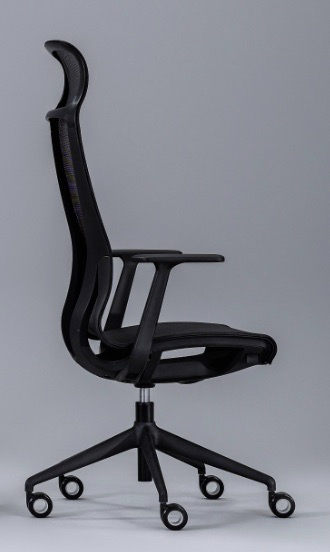 Scaun Directorial D-Chair - 25.webp