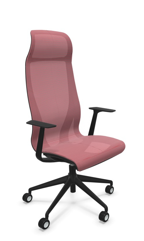 Scaun Directorial D-Chair - 56.webp