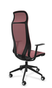 Scaun Directorial D-Chair - 57.webp