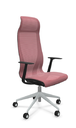 Scaun Directorial D-Chair - 58.webp