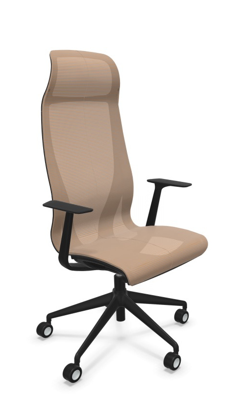 Scaun Directorial D-Chair - 50.webp