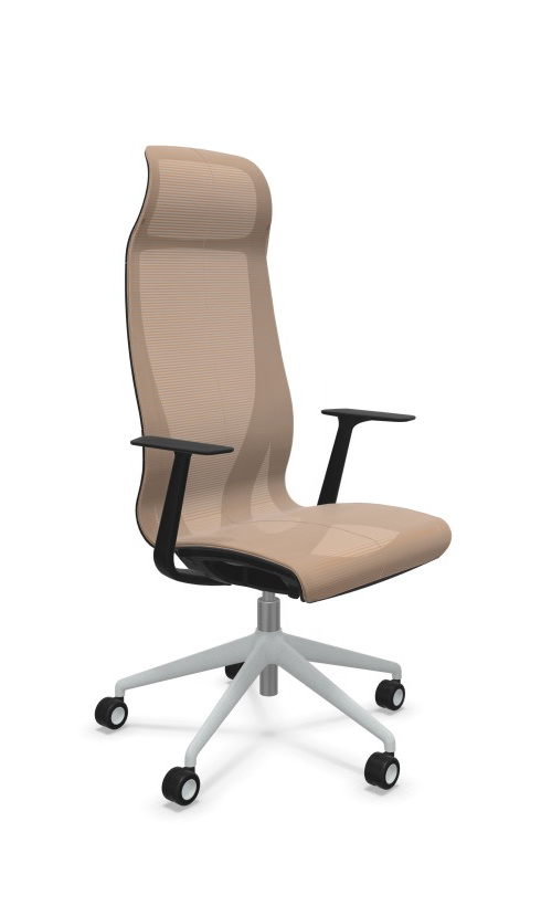 Scaun Directorial D-Chair - 52.webp