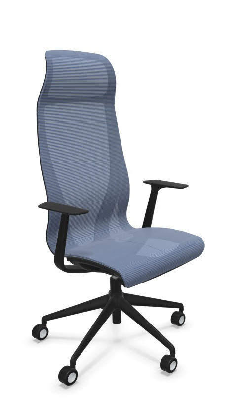Scaun Directorial D-Chair - 59.webp