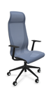 Scaun Directorial D-Chair - 59.webp