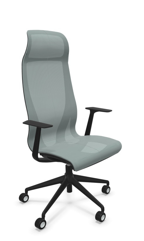 Scaun Directorial D-Chair - 53.webp