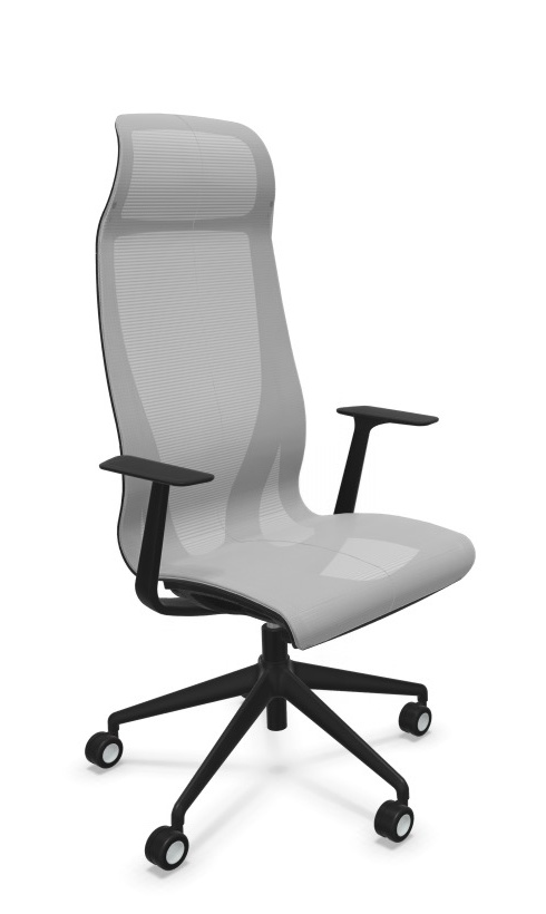 Scaun Directorial D-Chair - 63.webp