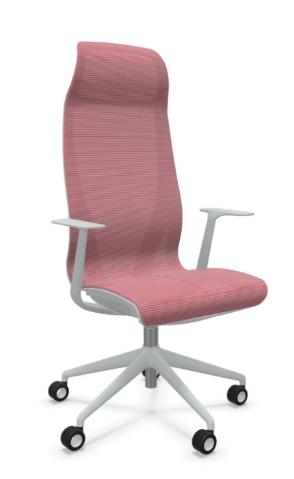 Scaun Directorial D-Chair Grey - 13.webp