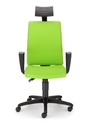 Iline_HRgtp45_TS16_Ergon2L_YB156.jpg