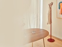 Cuier Haine Clip - 1024x768 - 1.jpg