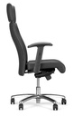 Scaun directorial Neo Lux PL R1B - 1.jpeg