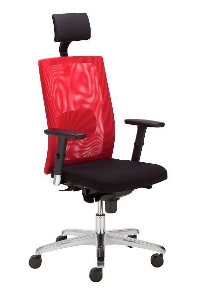 Scaun Directorial Sit.Net