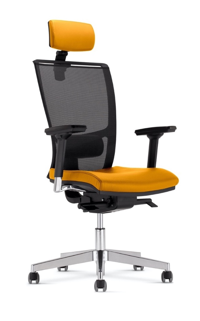 Scaun Directorial Z-BODY HRUA