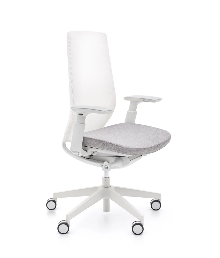 Scaun de birou Accis Pro 150SFL - W Grey