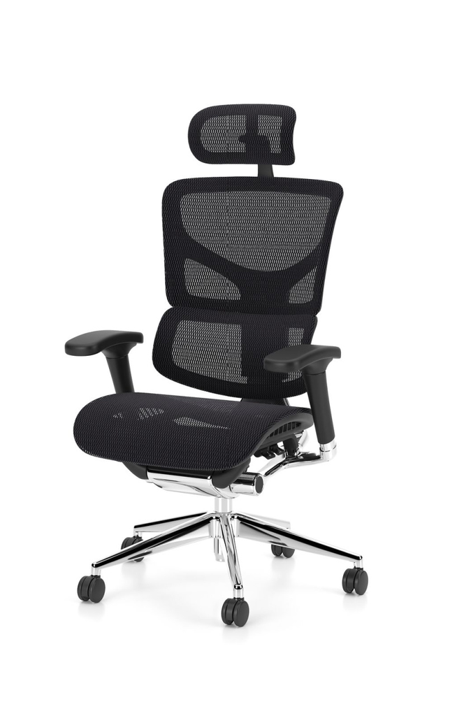Scaun Ergonomic Enjoy