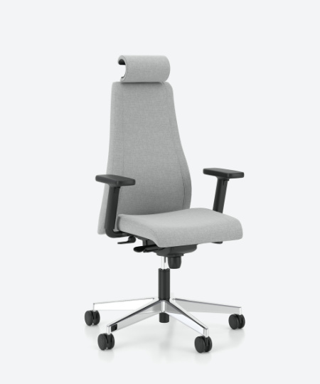 Scaun Directorial Viden HB UPH