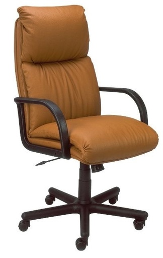 Scaun Directorial Nadir