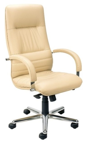 Scaun Directorial Linea