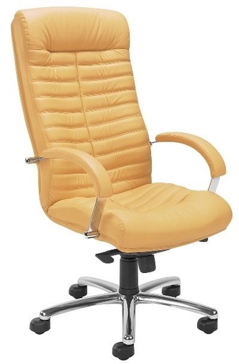 Scaun Directorial Orion