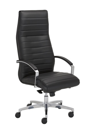 Scaun Directorial Lynx