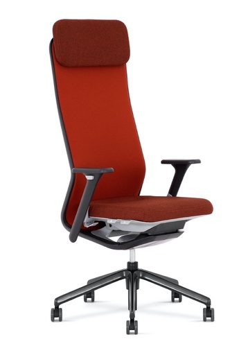 Scaun Directorial YouTeam HB UPH