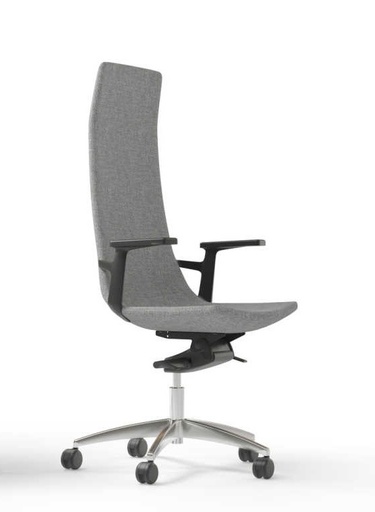 Scaun Directorial North Cape