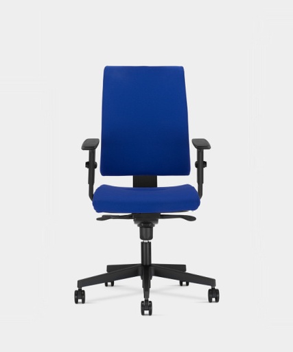 Scaun de Birou Intrata O12