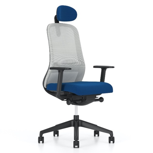 Scaun de Birou Souly Black Mesh